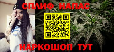 МДПВ Абакан