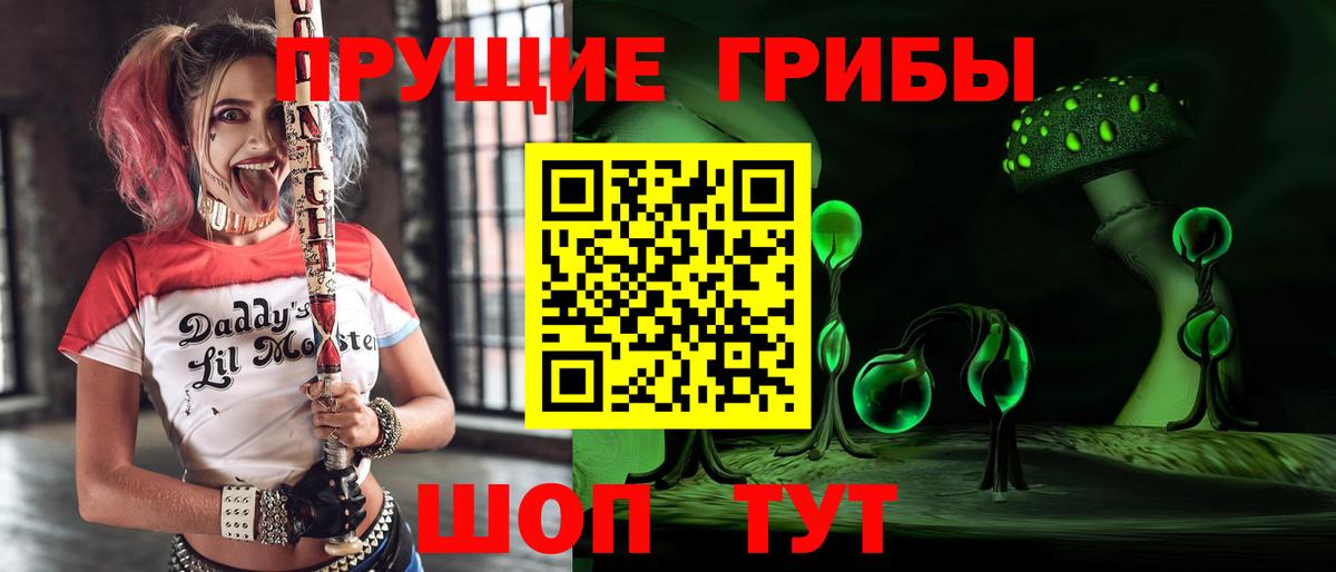 Галлюциногенные грибы Psilocybine cubensis Алексеевка